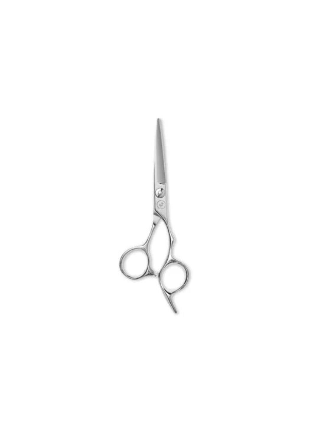 Steel-Scissor